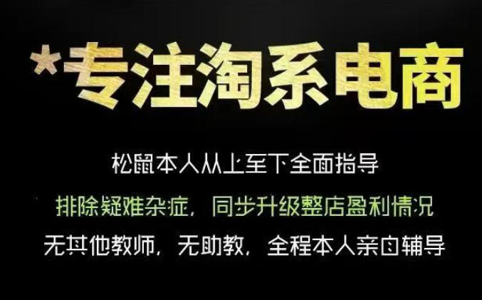 松鼠会电商VIP课程，从基础布局到高阶优化，助你掌握淘宝运营逻辑，提升店铺流量与转化(更新0711)-北疆网创